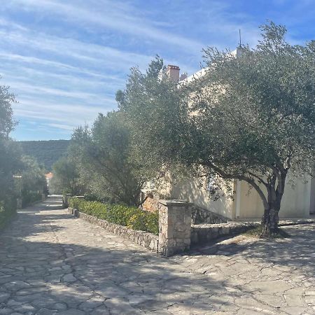 Villa Thetis Bigovo Bagian luar foto